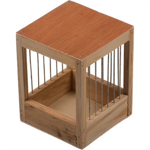 Tralienest hout kanarie klein