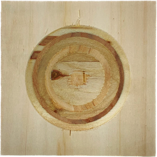 Broedblokbodem 20x20cm