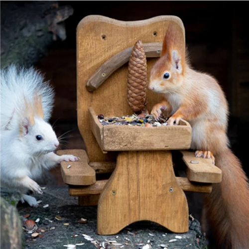 Eekhoornvoederbak PICKNICK