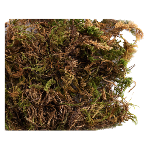 Nestmateriaal mos 6lt