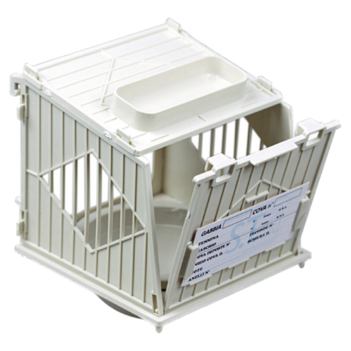 Keizersnest deluxe groen Ø100mm / Archimede (N003)