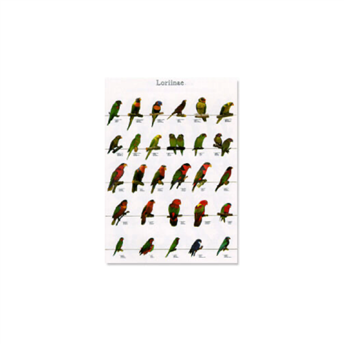 Poster Lori's 02 (68x98cm)