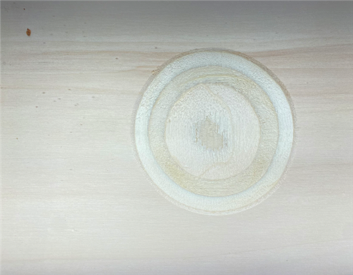 Broedblokbodem 20x25cm