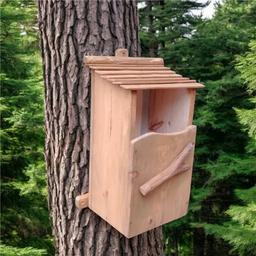 Nestkast voor uilen, torenvalken, duiven NOKTO