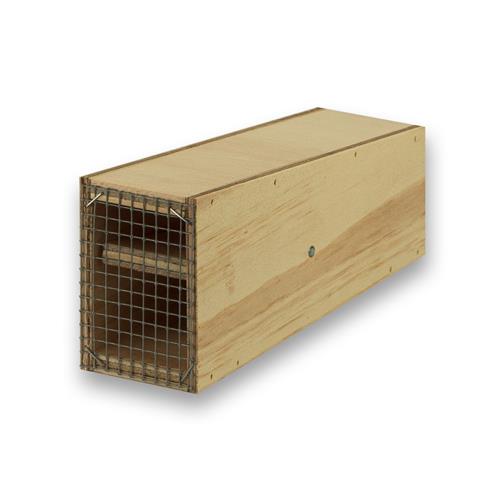 Muizenval hout