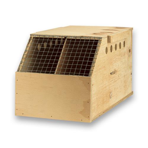 Export 2-vaks transportkooi middelgrote vogels