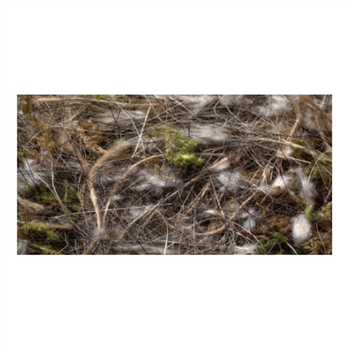 Nestmateriaal dierlijkhaar-groenten-mos 500gr