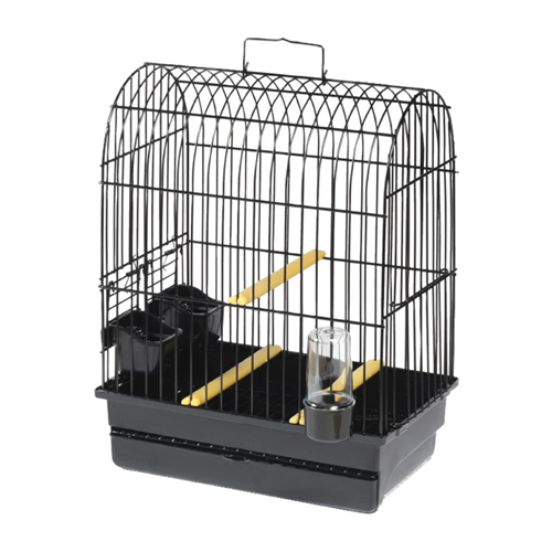 Showkooi York zwart (I065)