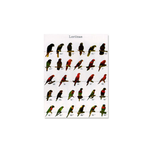 Poster Lori's 01 (68x98cm)